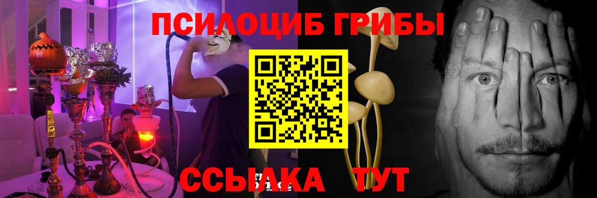 Советская Гавань  купить наркотики сайты  Вход с VPN  Псилоцибиновые грибы мухоморы 